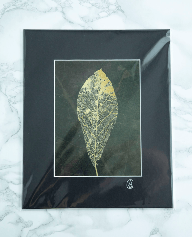 Laced Magnolia Leaf Study III
