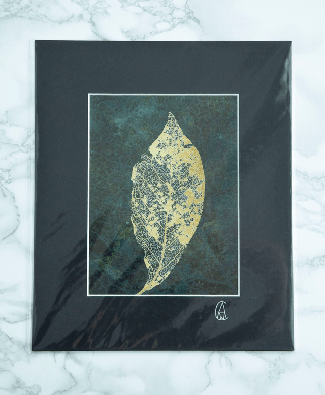 Laced Magnolia Leaf Study II Mounted Print