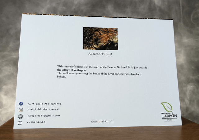 Autumn Tunnel Blank Card