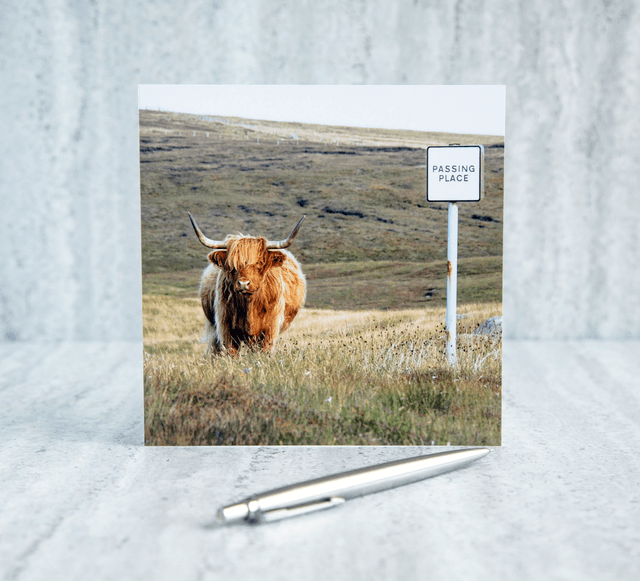 Mooove Over! Blank Card