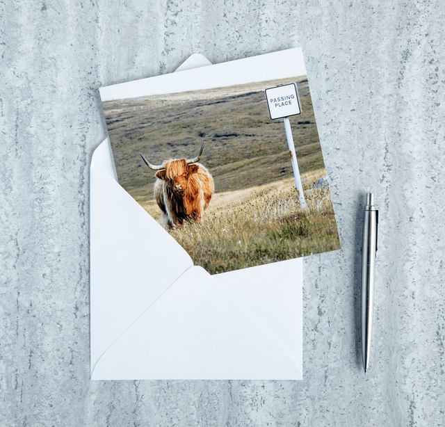 Mooove Over! Blank Card