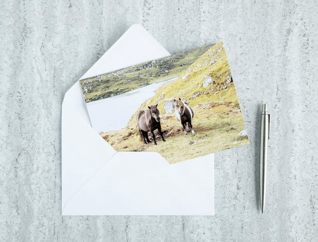 Double Trouble! Blank Card