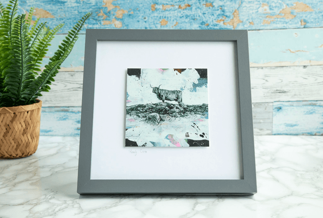 Reef Coo Mixed Media Original